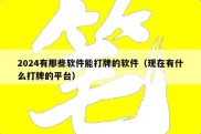 2024有那些软件能打牌的软件（现在有什么打牌的平台）