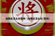 加勒比怎么玩德州（加勒比怎么玩 德州）